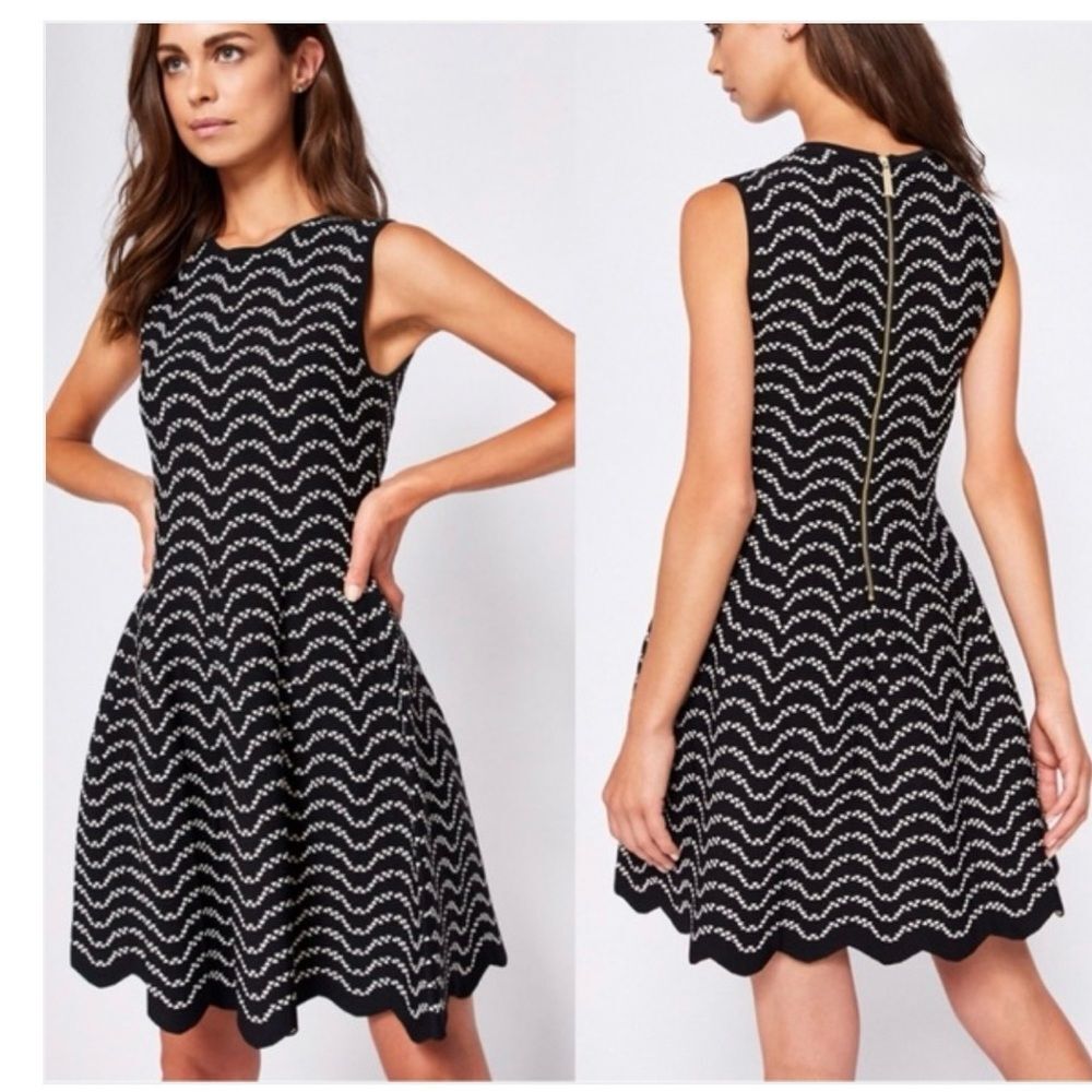 Ted Baker London Bryena Jacquard Fit & Flare Dress in Navy and White 8 (M) NWOT